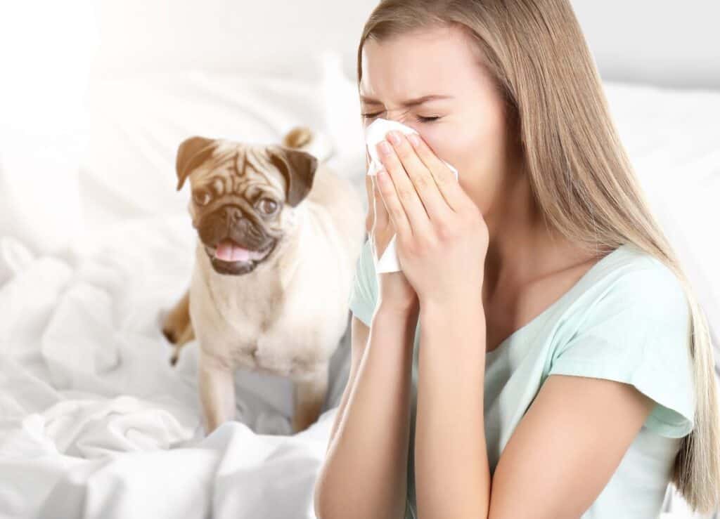 Woman sneezing with dog in the background