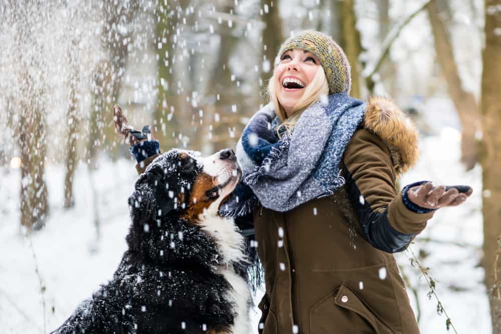Woman playing with dog in snow
