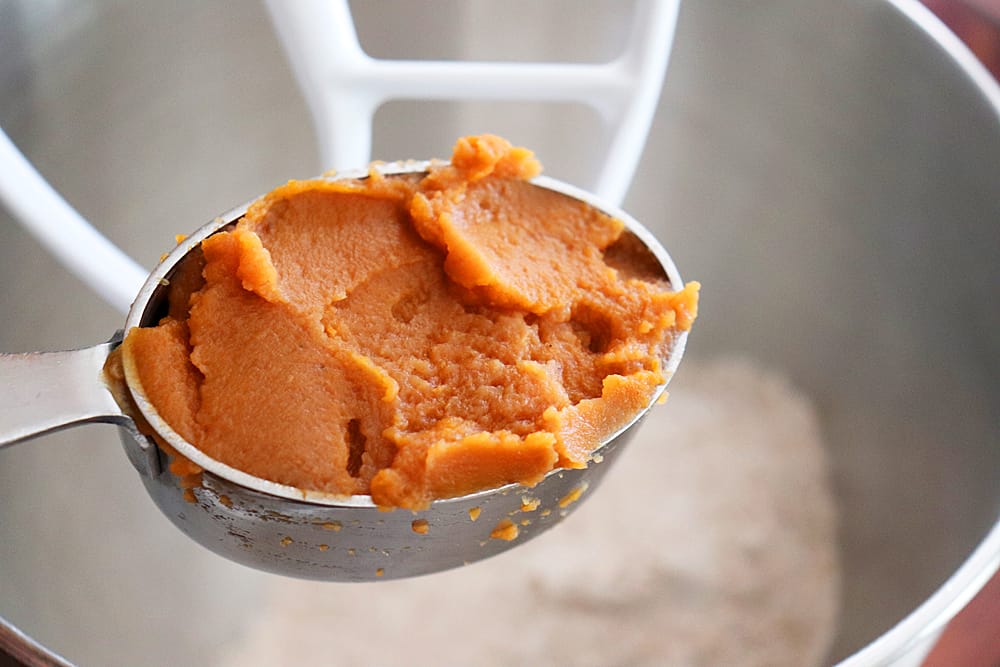 Peanut Butter and Pumpkin Dog Treat Recipe HALLOWEEN MIX ProjectPAWS