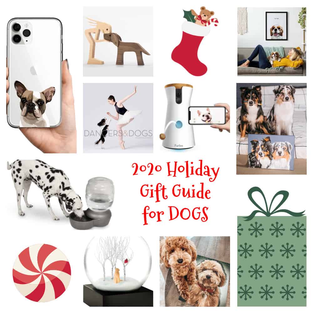 The Ultimate 2020 Holiday Gift Guide for Dogs and Dog Lovers HERO Image
