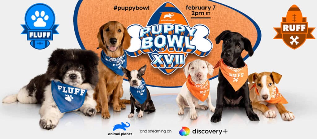 Puppy Bowl Graphic