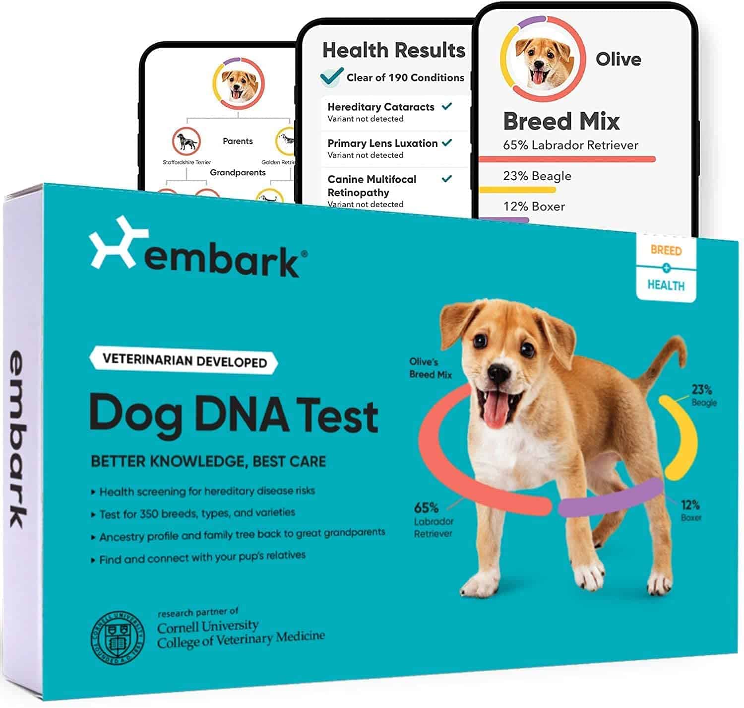 Embark Dog DNA Test Kit | Breed & Genetic Ancestry Discovery | Trait & Health Detection | at-Home Cheek Swab