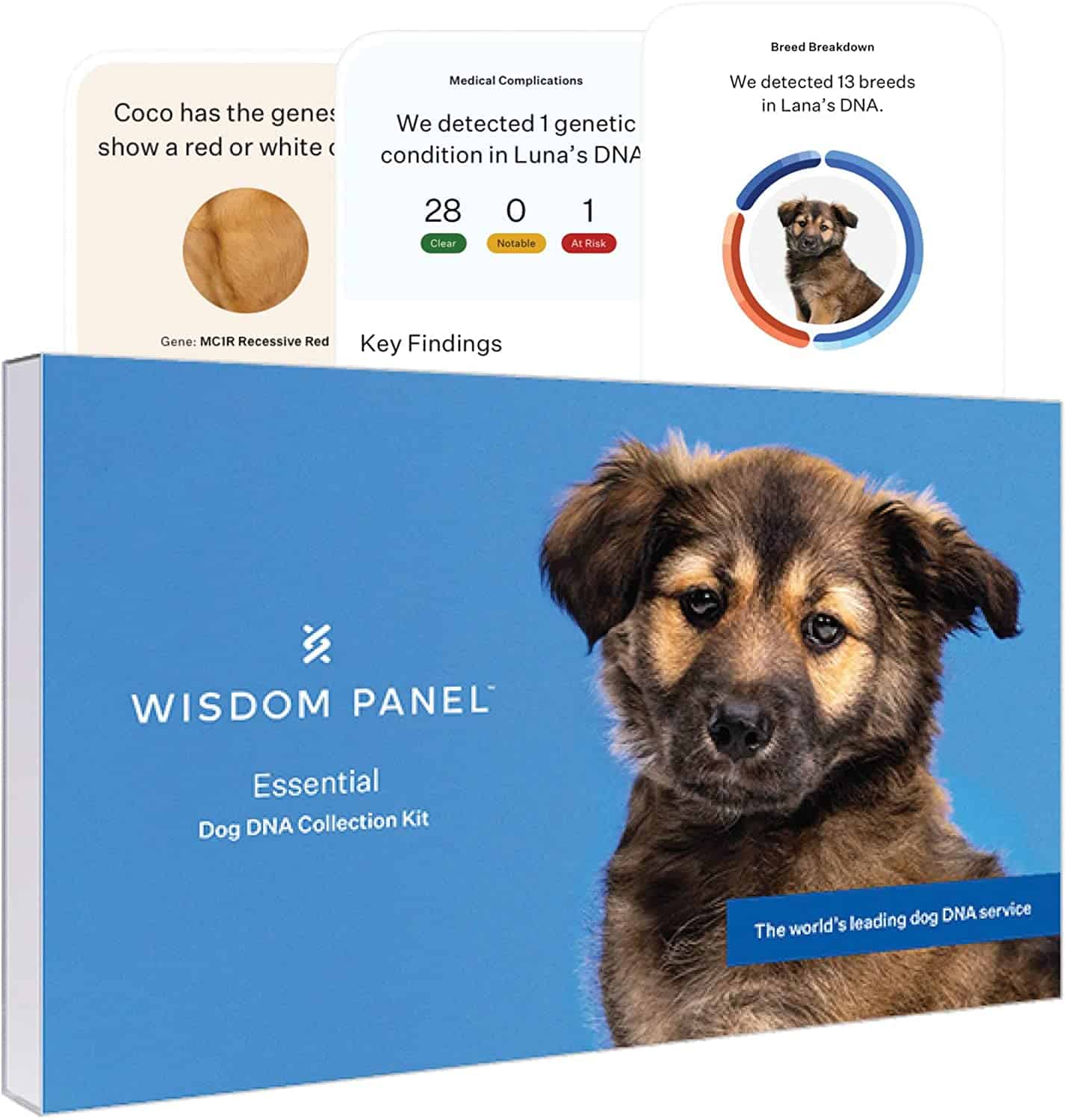 Wisdom Panel Essential: Fundamental Dog DNA Test for Ancestry, Breed and Medical Traits/Conditions