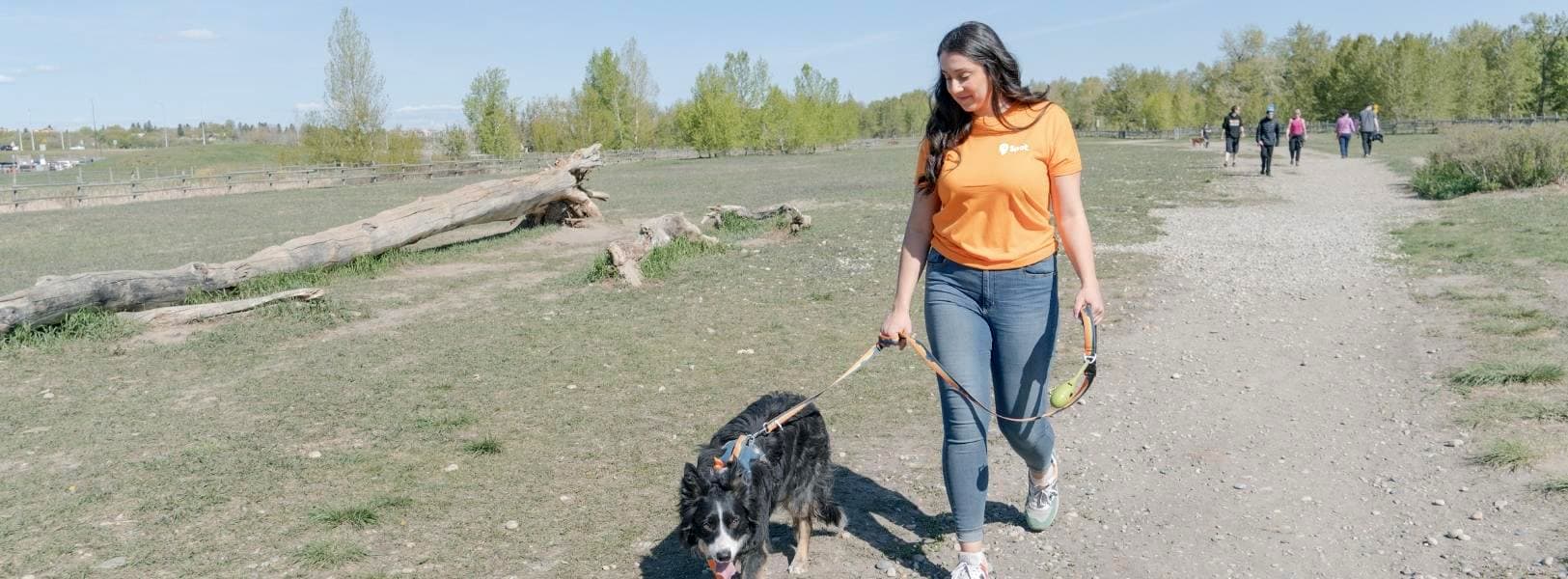 woman walking dog on a gravel walking path - How to Hire Dog Walkers Near You
